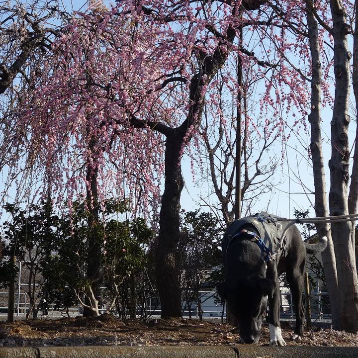 E2ca38fb a084 46e1 ae71 c93ba2072bb1 1647045366495