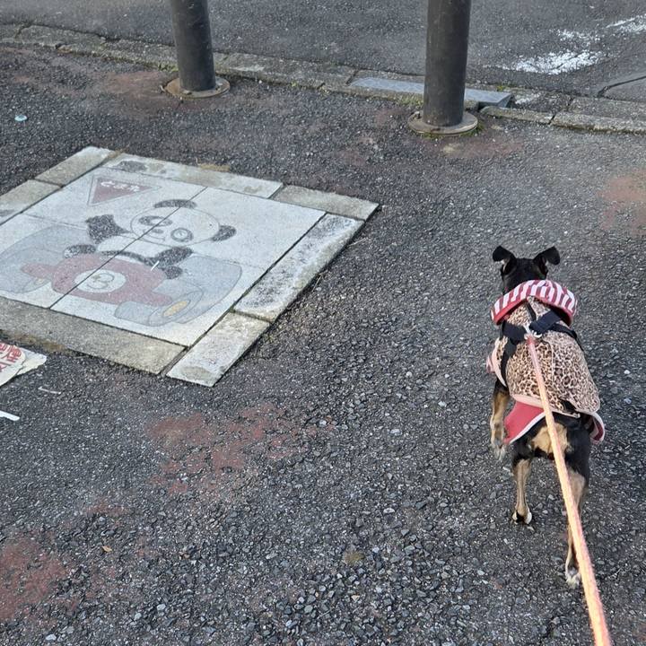 E2ca3fb6 d5b5 42b3 90a3 17043b529bf0 1761605859478