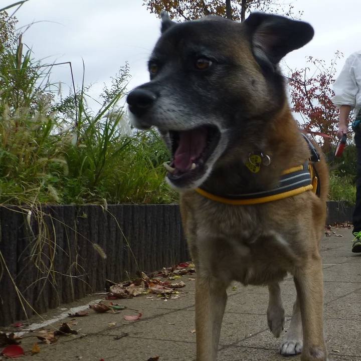 E2ca457a 185c 4d19 894e d36f269edcd0 1579267761296