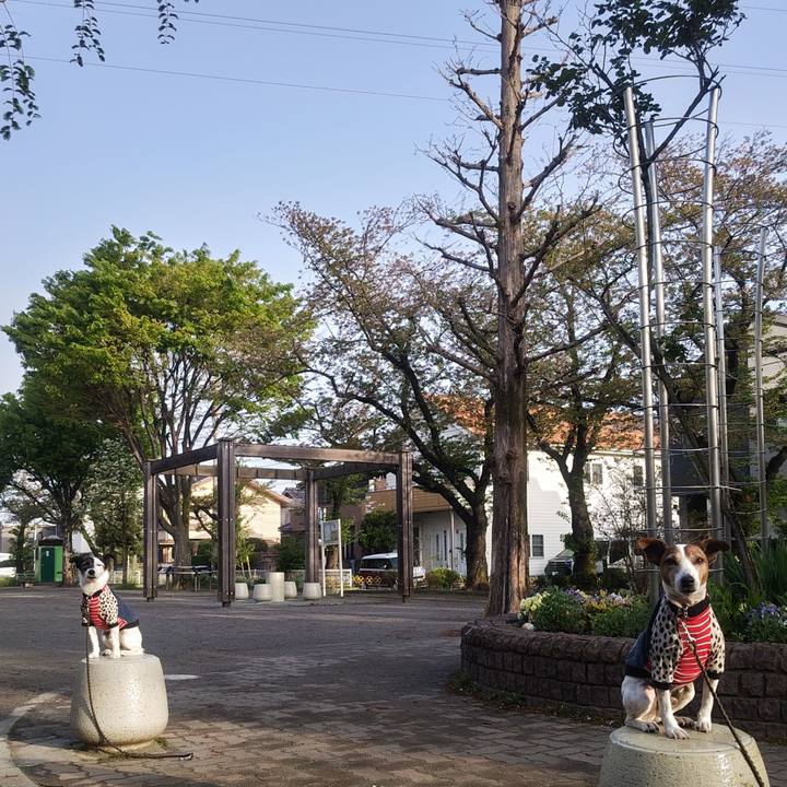 E2ca5a82 1ed4 4254 ba6f 8ff46f8557cb 1775859516154