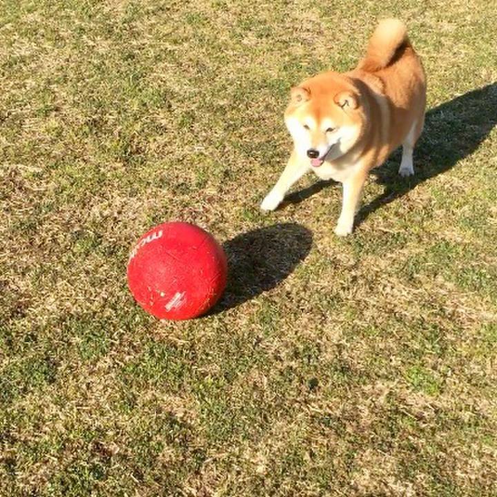 E2ca66eb 1c2e 48ac a3fb d4cd301551e7 1554347404458