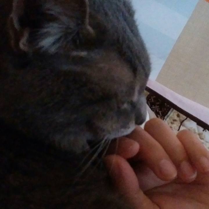 E2ca890f 1100 4515 9eb1 554240019e47 1584682722252