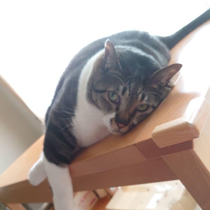 E2caa77e 954b 45e7 a14e b41ecae899f8 1587078478585