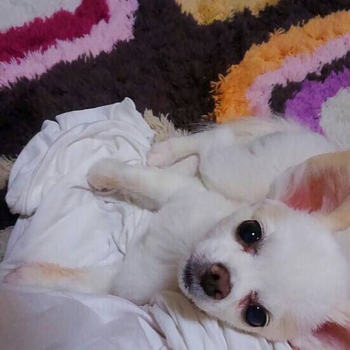 E2caa8f3 7819 4d29 8df8 501cebbfbcbb 1566476878192