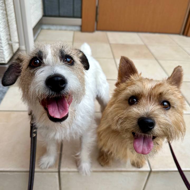 E2caa94b 70dd 4efd 9c58 4fa4f56499dc 1749415616996