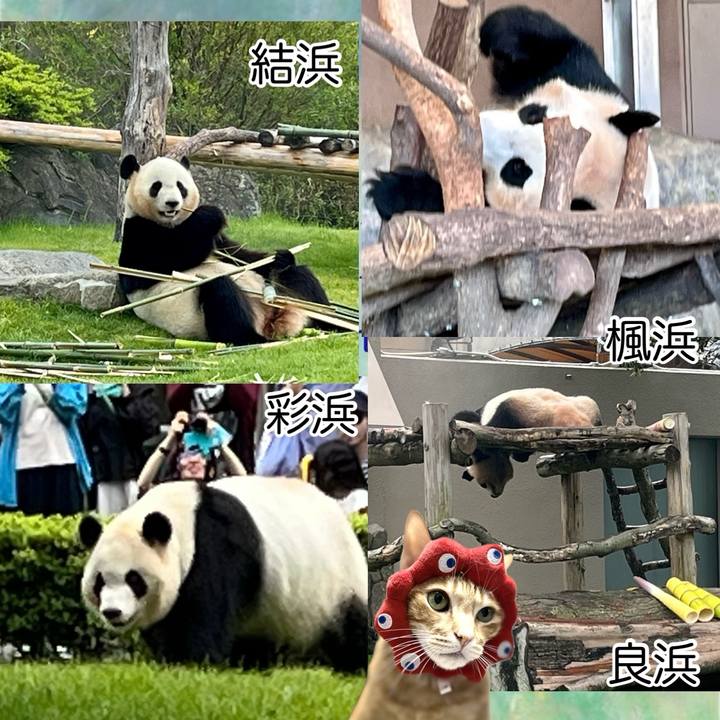 E2cab183 a8ac 4500 8c5e 9c043f0ab2b4 1747475454560