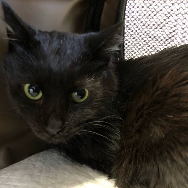 E2cac24d 09dd 4c22 acd6 cb4d72ab51fb 1618819361798