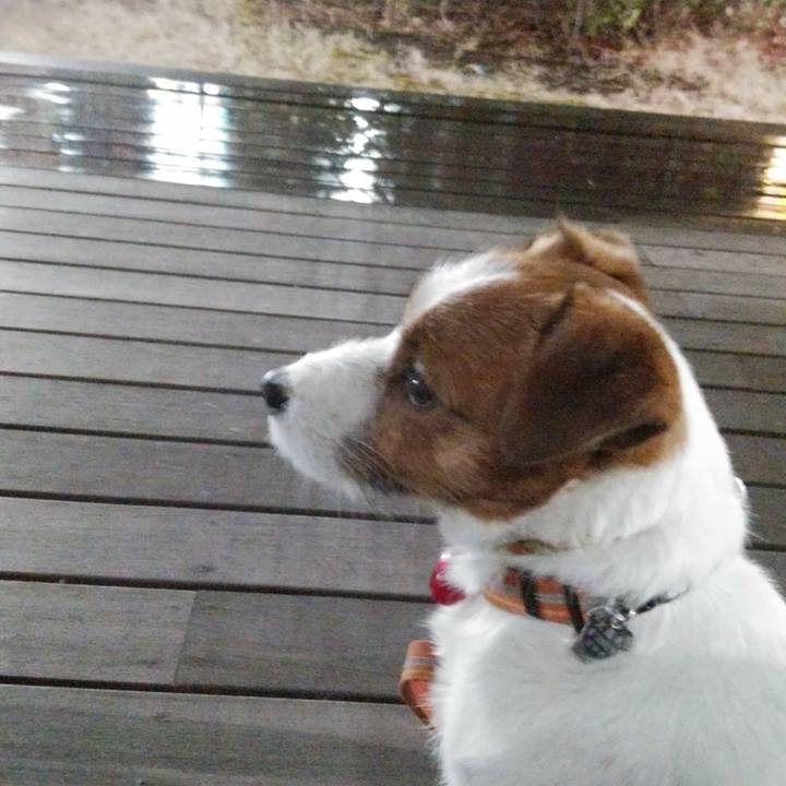 E2cad010 5dd6 4f78 8085 b2bfeeebcfa7 1517481201164