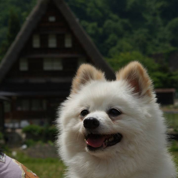 E2cb49bc 7cac 4b0c 8510 6c37bbfab559 1548699573966