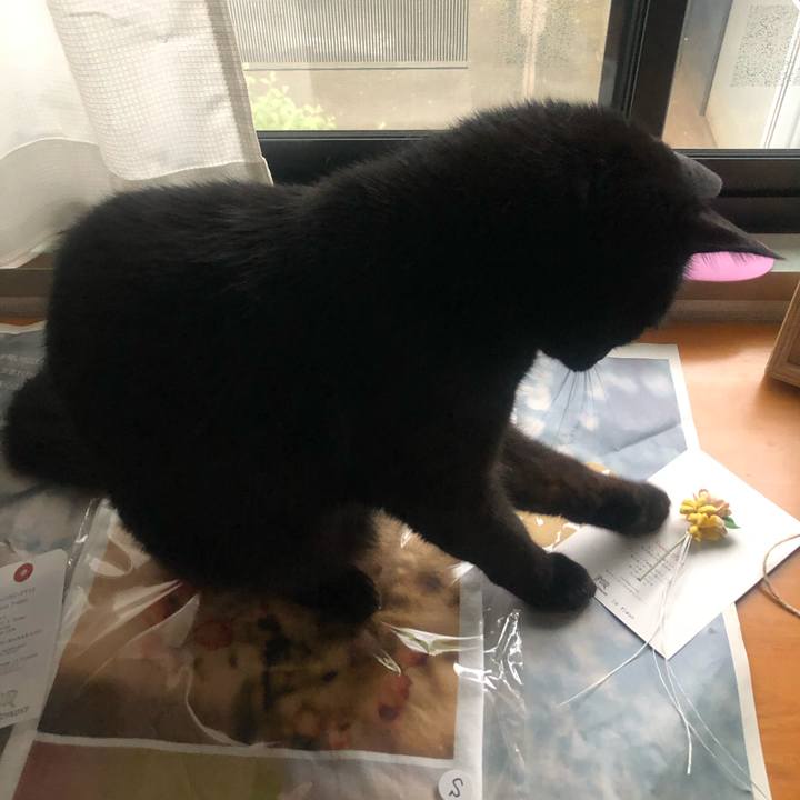 E2cb4b9c a629 46e0 a295 49e6f0d2fb1b 1653201839160