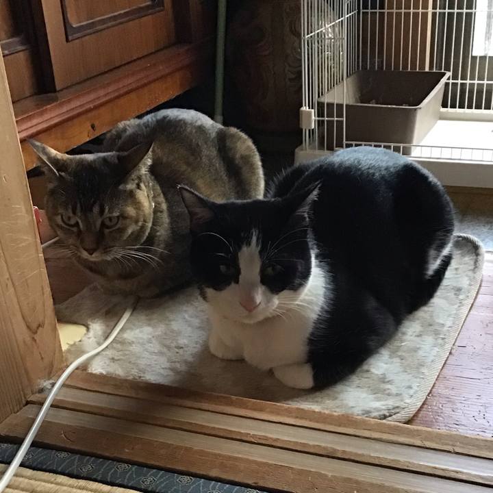 E2cb62a8 ddc5 4b21 9e26 0f4ca7cde99a 1646463109706