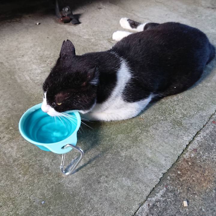 E2cb963d 3aa8 45ad af71 6c3378d42203 1528532141718