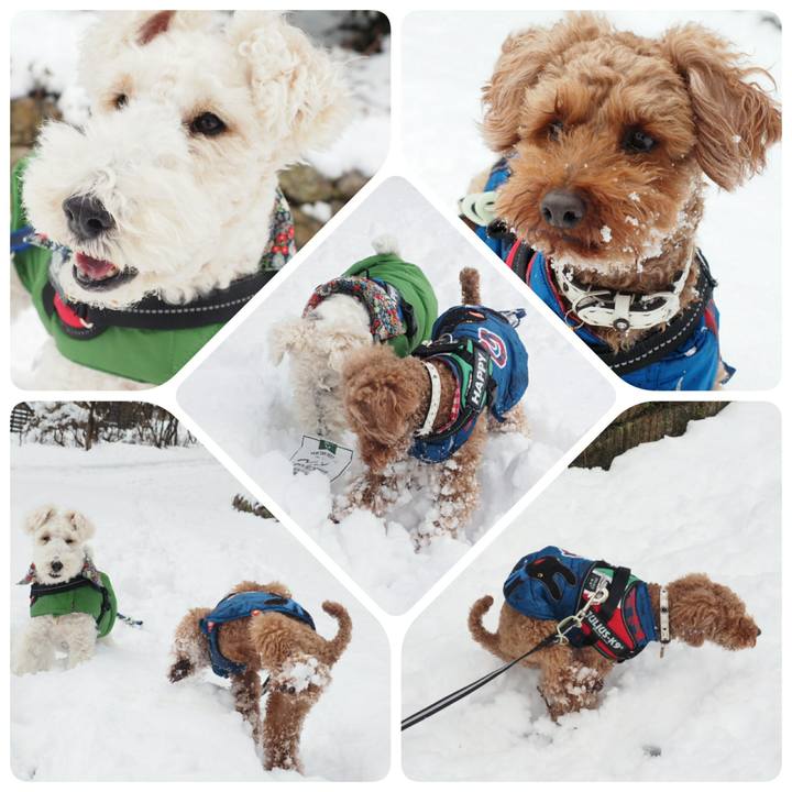 E2cbb472 d015 4757 b9c1 8ccf6e26a6d4 1515912754611