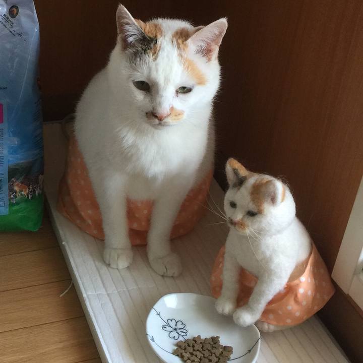 E2cbb64f 8d6a 4cbc ad6a 719acad22230 1533439129716