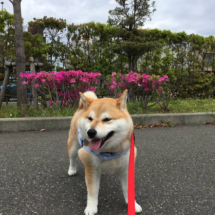 E2cbd512 b8c1 4afb b895 8c46cb2be6b4 1557113764243