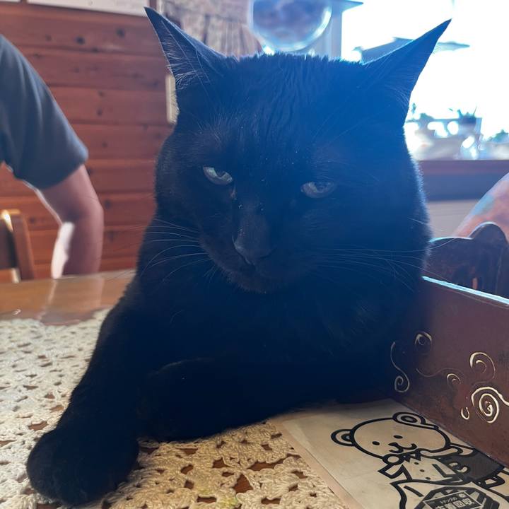 E2cbd861 788c 49e5 a085 4819507b1bc4 1715894960414