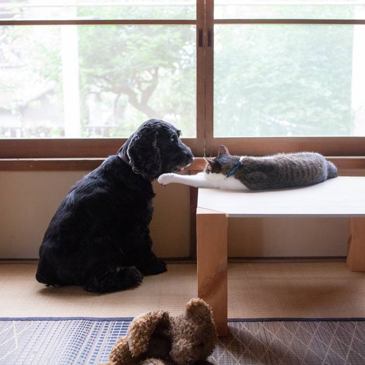 E2cbe40a 7cb7 40aa 9389 a9e6de063f0a 1564658062499