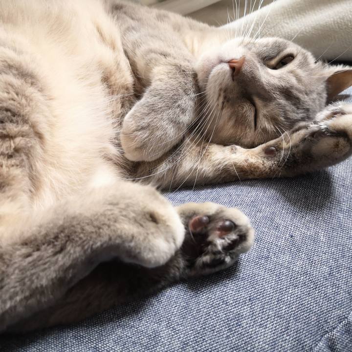 E2cbea08 6973 4cbc 9cdb c677fcc5b3f2 1582255579322