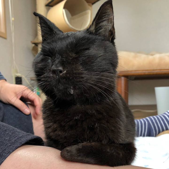 E2cc0ce4 8a68 40d6 be0d 013b5652fd49 1557922302747