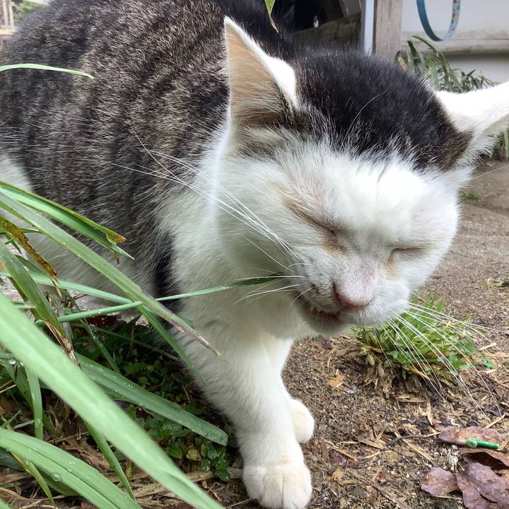 E2cc52d7 85a1 4f64 baa0 a81e6fbd1aee 1585450834890