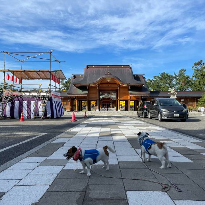 E2cca7fc 1fe5 4e9d bdf1 4254a3d4c7ba 1692057109134