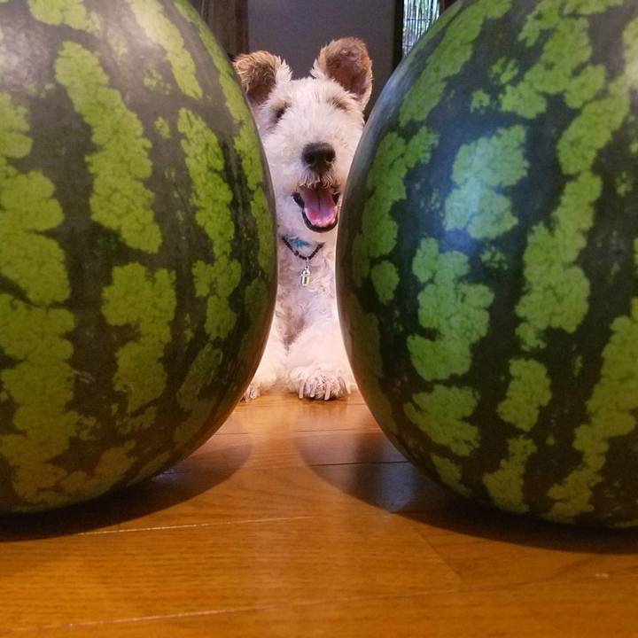 E2cccd18 509d 42c0 9487 e7b94cf0fd97 1564210853524