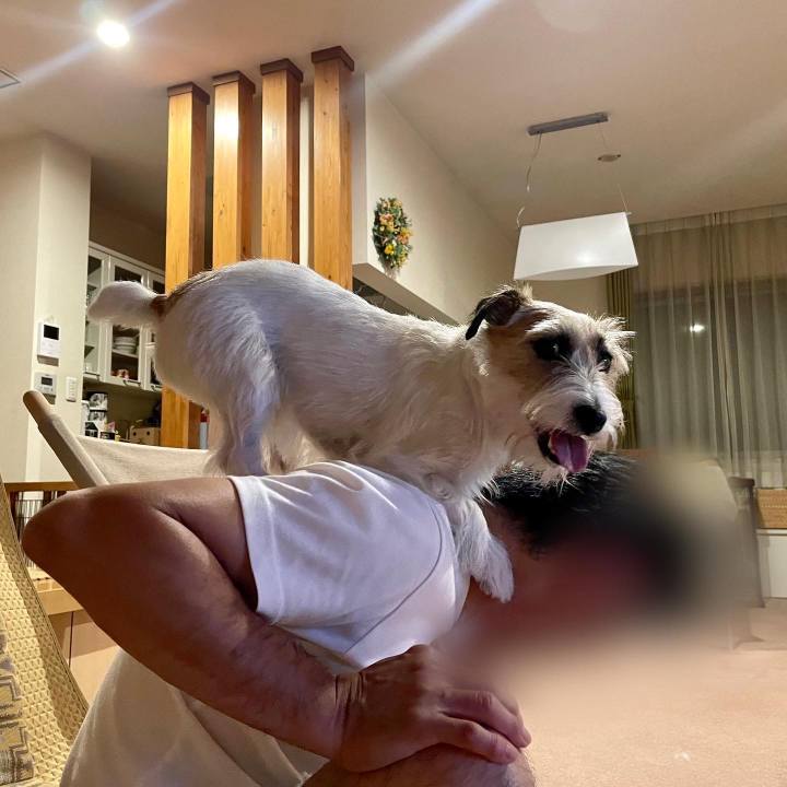 E2cce2f8 c935 41b5 9677 3b00b584c9e5 1659246420838