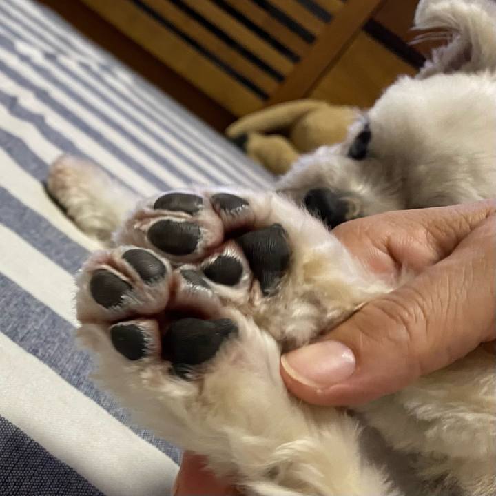 E2cd06bc 0ac4 48b3 9f1f f93a8f594e49 1695899901690