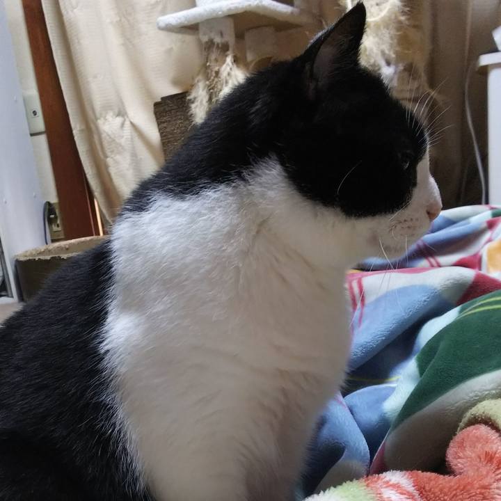 E2cd6f30 fdb0 4f5e 9cd7 461cc0f5d657 1556751660762