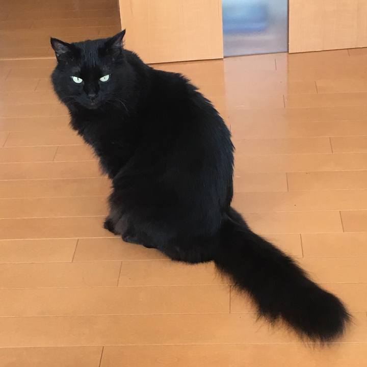 E2cd7b17 d997 4130 b801 f6b73776fc62 1532432821144