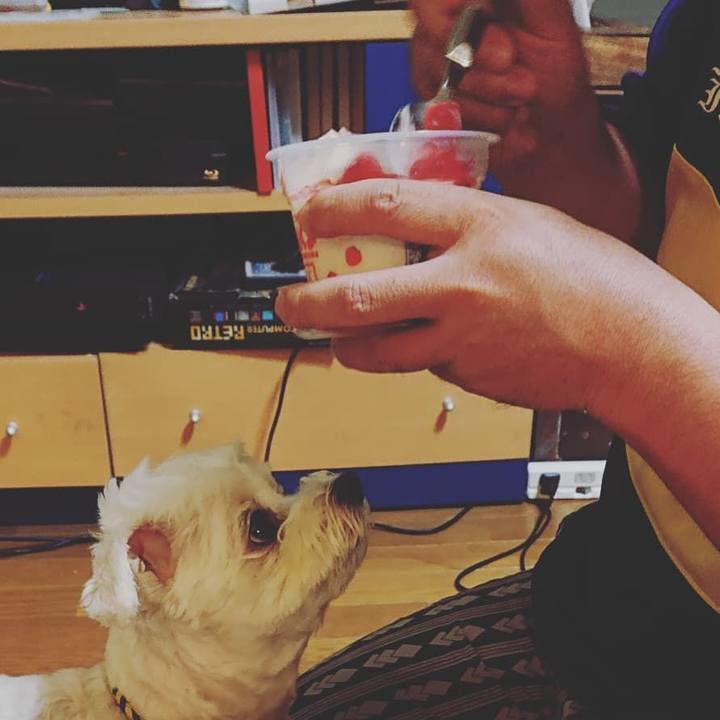 E2cd860a bc12 4b69 a8ac fbea82ec2f70 1596448394033