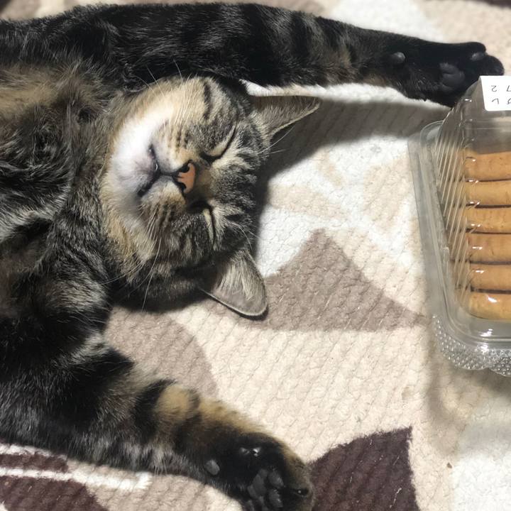 E2cd96e7 b13d 4c8d 959c 20910d0bfe7d 1551012422797