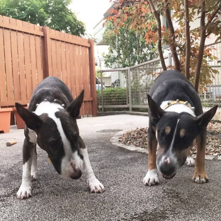 E2cdaa5a d57a 4690 b10c 041bfcff0860 1509609733987