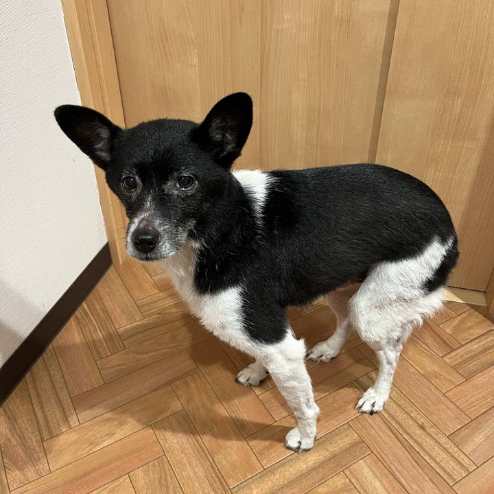 E2cdcbf7 83b7 4f46 94eb 2e8aa457d18f 1707832376560