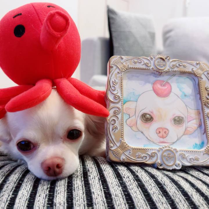 E2cddf5e e1ea 409e 845d c872a0f84935 1694433978764