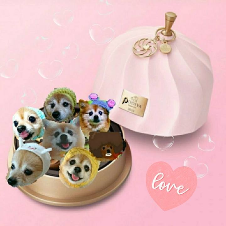 E2cdeabe 1b36 42de 857a 7e57add885bd 1581632180173