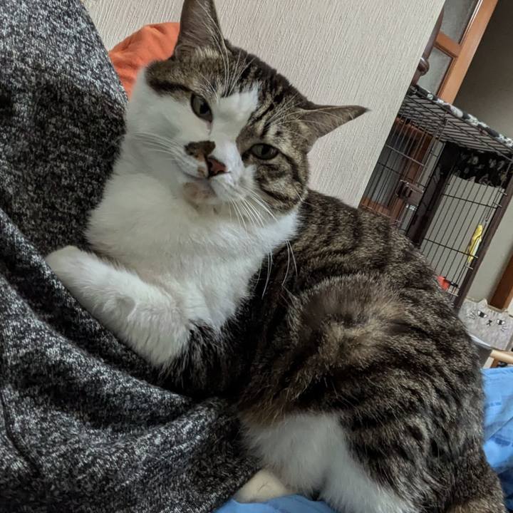 E2cdf3db 4a87 4b1e 8625 85bd0ca5b190 1732003725980