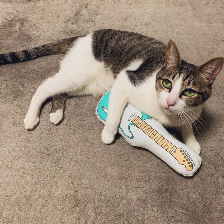 E2ce0b75 5f60 4341 a09a f813aa522d39 1547734972036