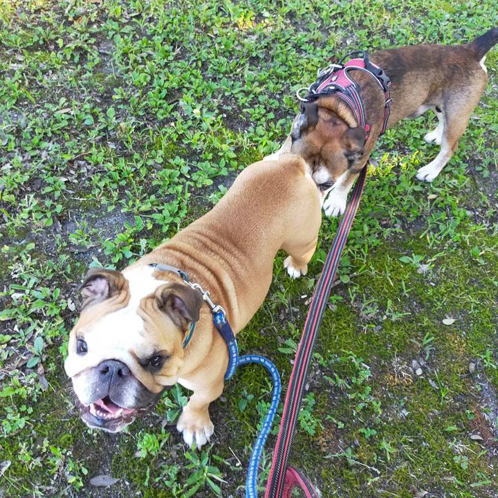 E2ce2000 2f89 4ab9 b6bd e58c62c7c648 1660225110412