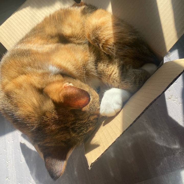 E2ce8270 d985 402d b507 63a1b6040f6b 1637723831692