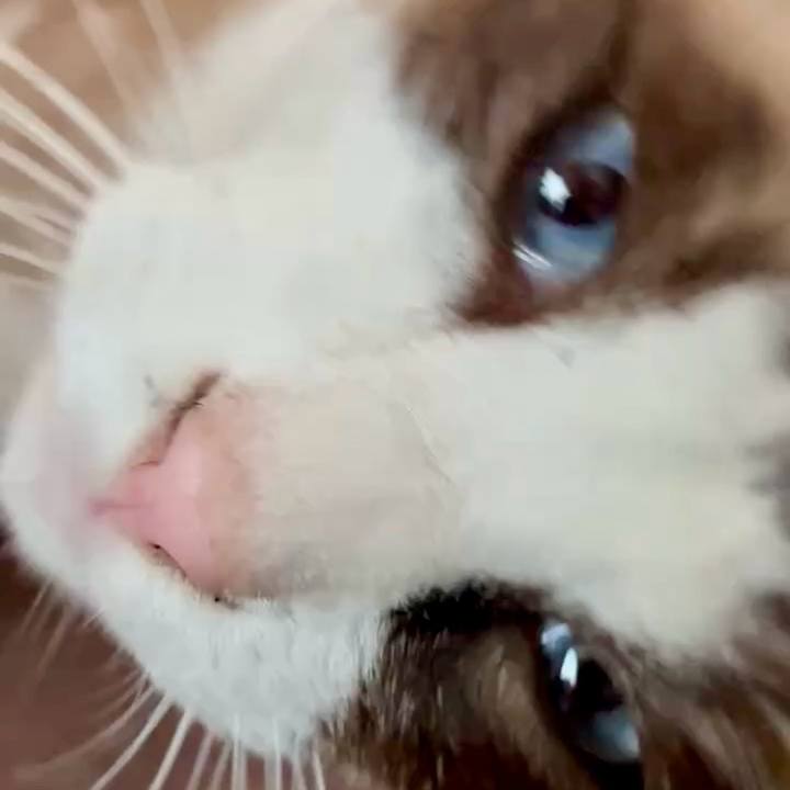 E2ce9e42 a1c9 41e4 908d ee9a38bd4079 1763347509787