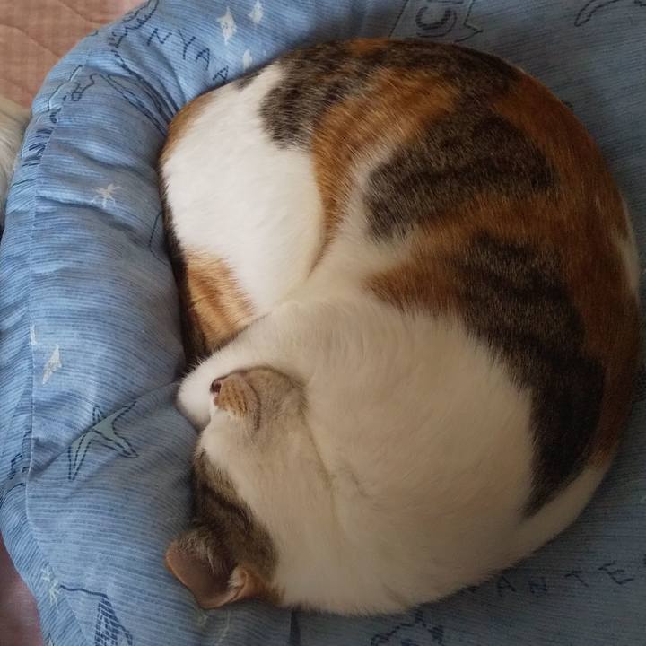 E2cee4db 12b9 4891 aaeb a5dc1d2a92f8 1664059745593