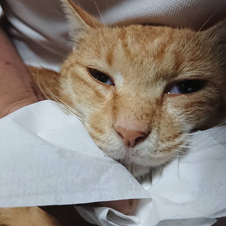 E2cef26c 8f55 4f13 907c 079fa9f07770 1594724954683