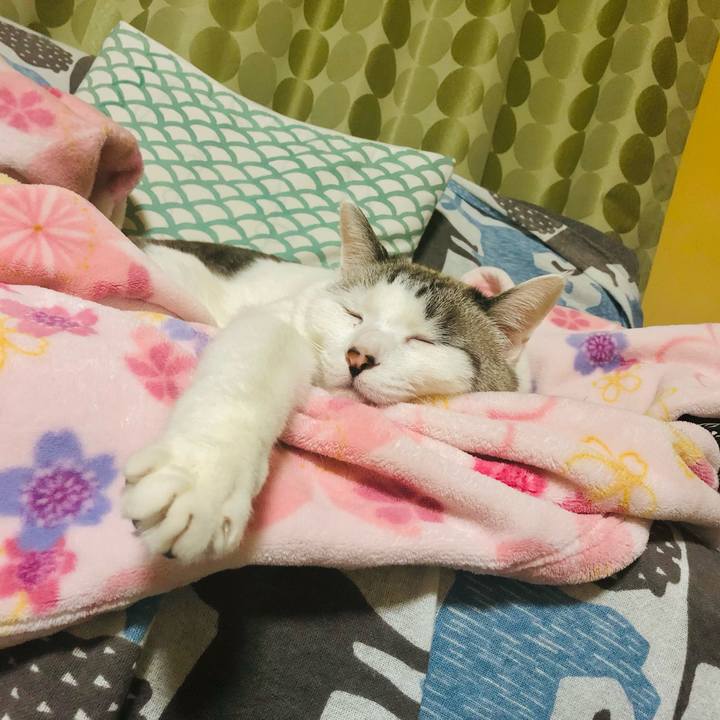 E2cf367c f233 4669 a7c7 0e2d04eb8bf7 1669732127278