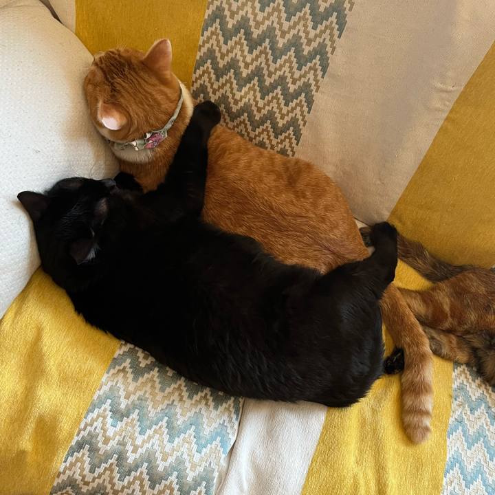 E2cf4de7 cd8f 42b8 bbc0 bd23c00c3292 1688448781776