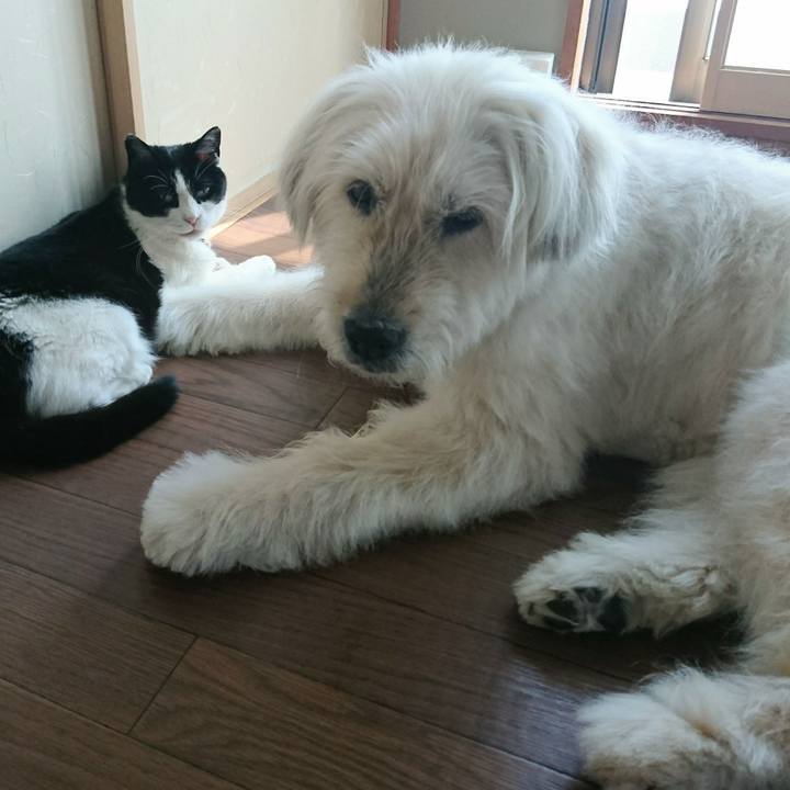 E2cf68fa 0fb1 4bdf 996f 7b1c34a864ff 1592178351786