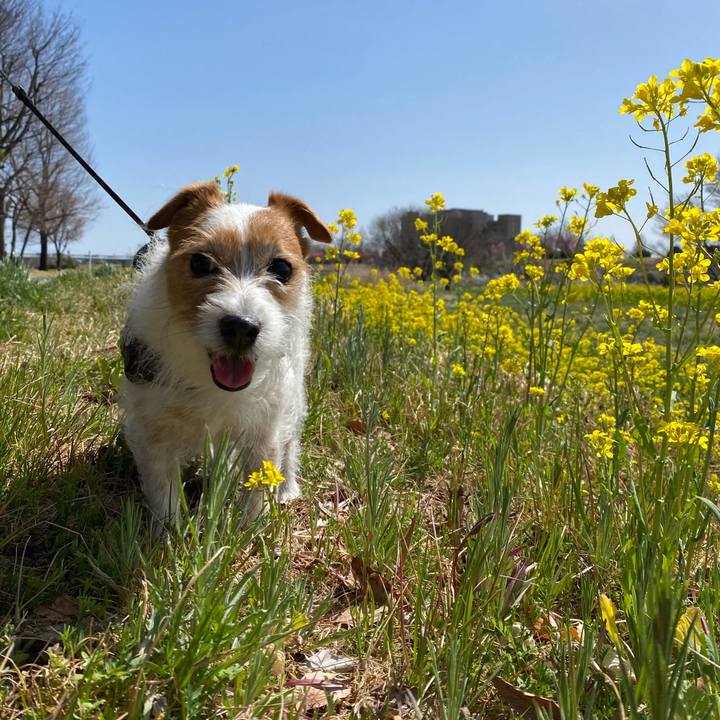 E2cf7ed1 b536 47f5 b0a8 05dc53463ed6 1647777812096