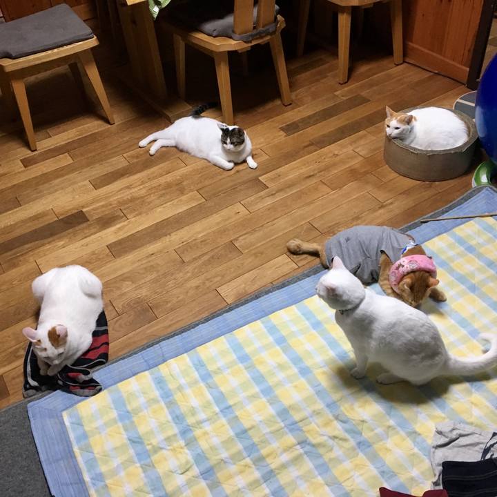 E2cfbf65 1bbb 401f 9a45 394e377f3997 1532346240684