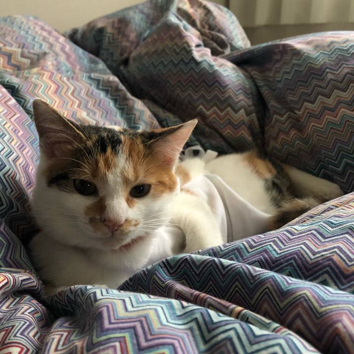 E2cfddff 4698 40bb baa3 b53ab6bf8f30 1571712908356