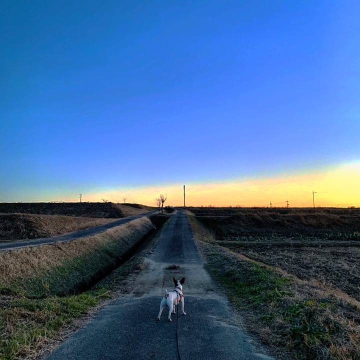 E2cfe5a8 b43a 4166 a03f 95768a59225f 1579081269730